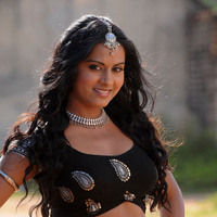 Sana Khan new hot pictures | Picture 45184